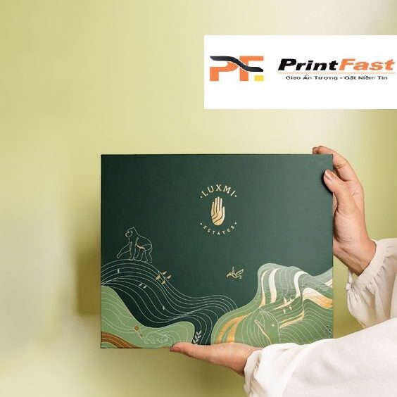 Xưởng In Ấn Bao Bì Printfast